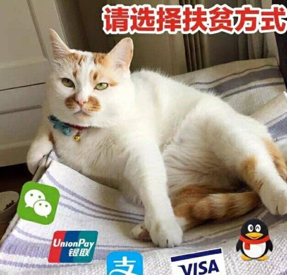 有没有超级好用的还钱表情包，好来提醒别人还钱？ - 知乎