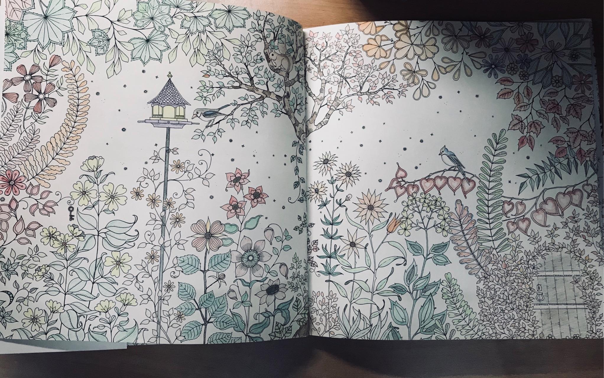 《秘密花园》怎样涂色才会显得高大上?