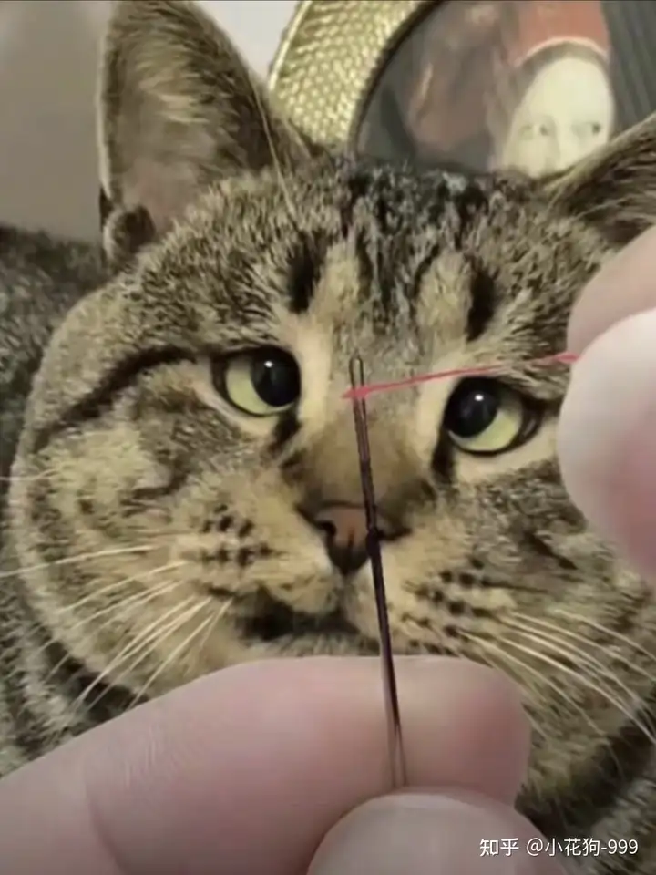 瞎扯 · 如何正确地吐槽