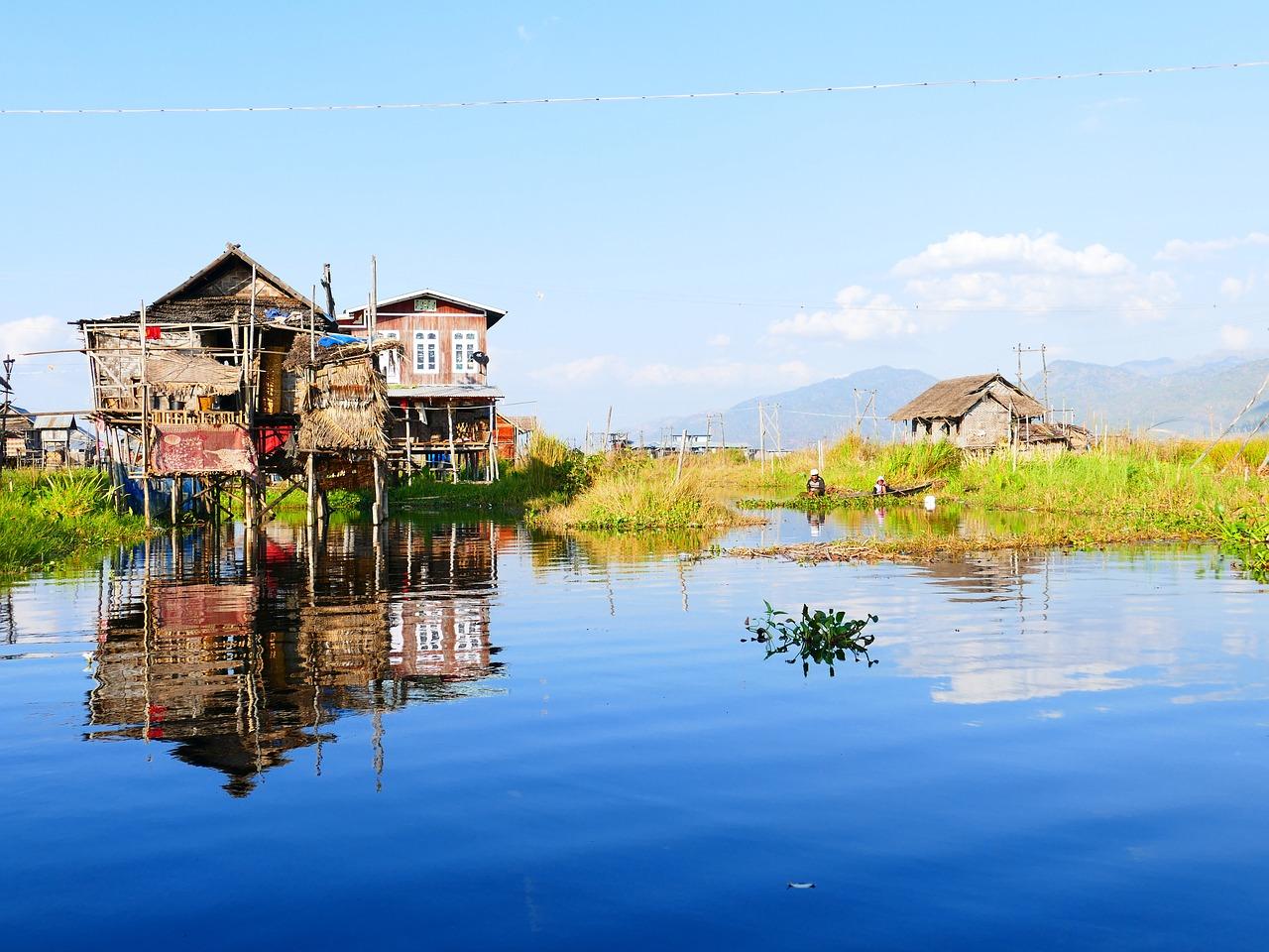 4. 竹材成本分析