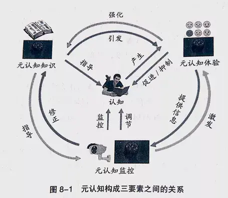 三元智力理论 知乎