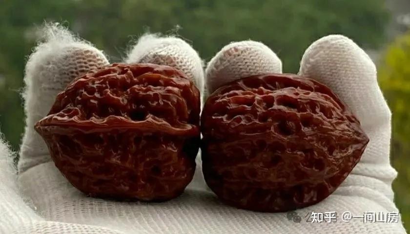 一间山房」一篇读懂！教你认识所有的文玩核桃（附14大经典品种全解析