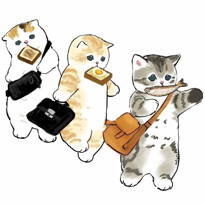 治愈系猫咪头像丨mofu_sand
