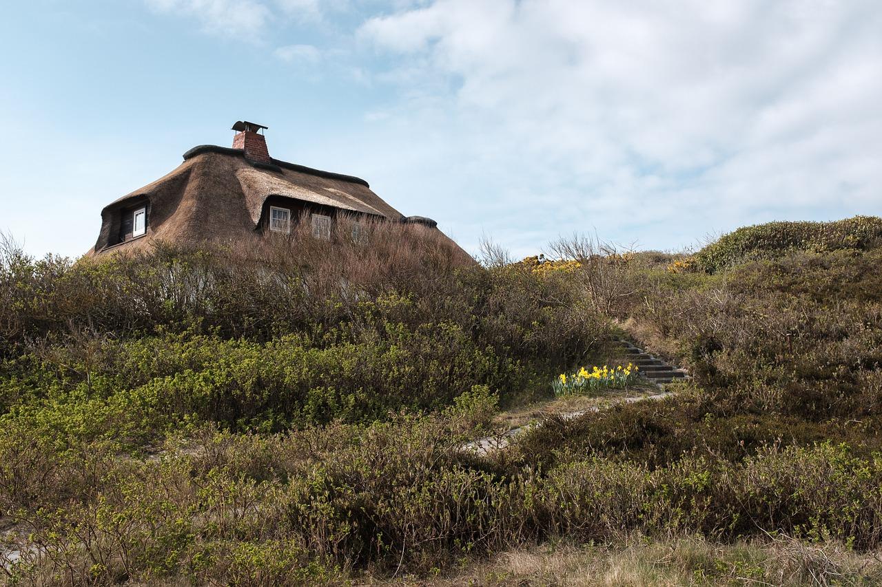 3. 灵溪民房租赁