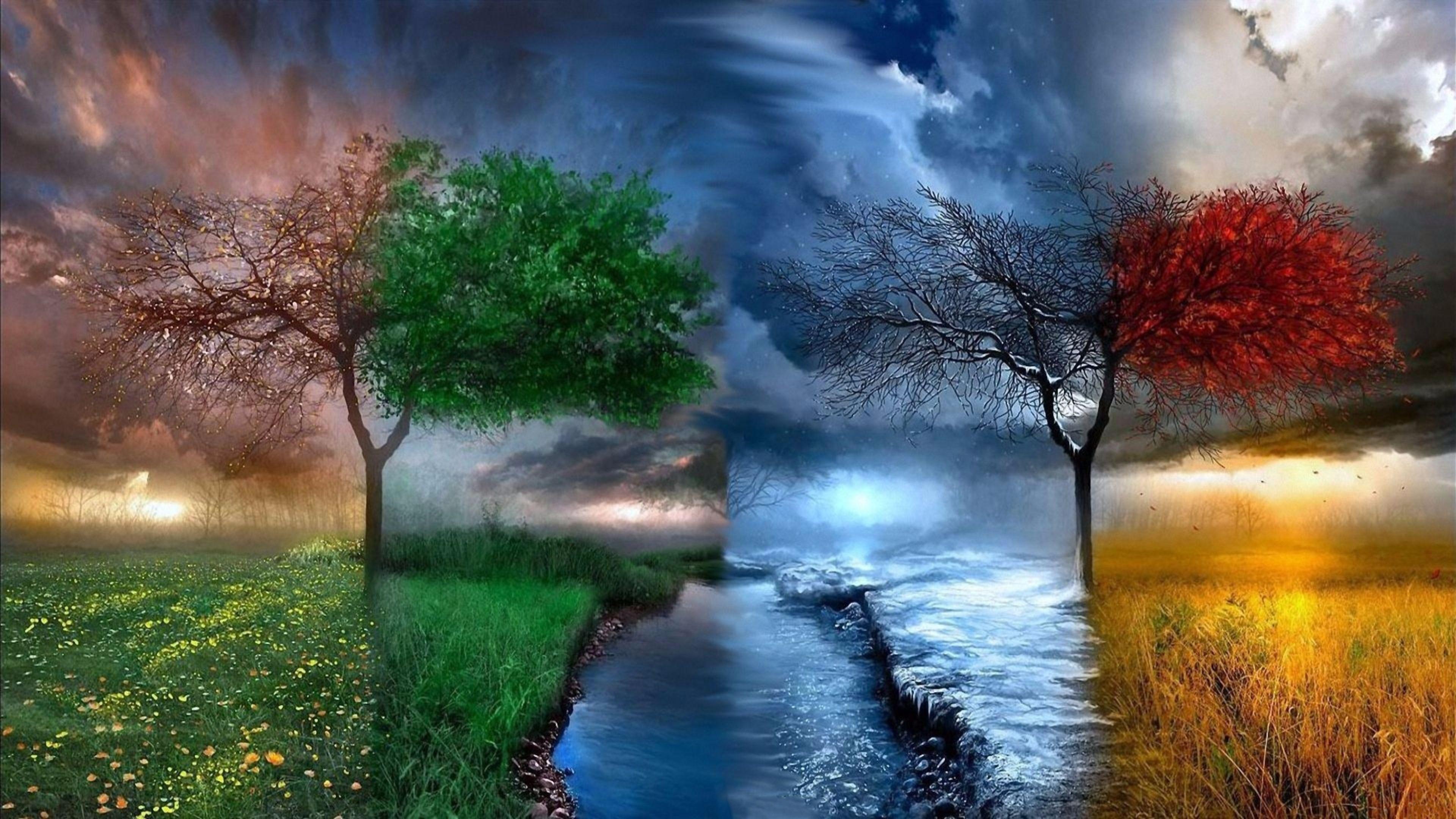 Four seasons collage — Stock Photo © volgariver #32910269