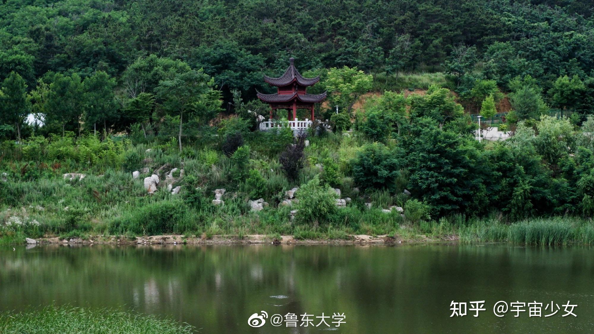 有沒有好看的魯東大學的校園景色圖片?