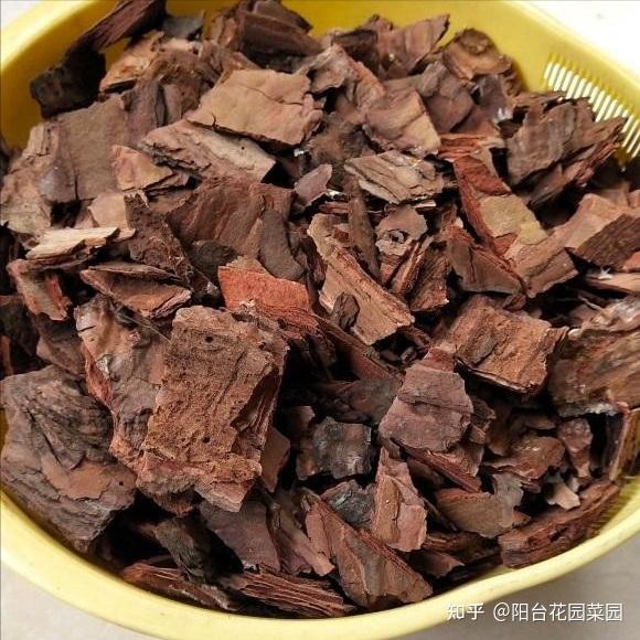 秋天到了，满地都是宝贝“松树皮”，养花有奇效 - 知乎