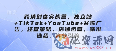 跨境创富实战营，独立站+TikTok+YouTube+谷歌广告，经营策略，店铺运营，精准选品，高效引流