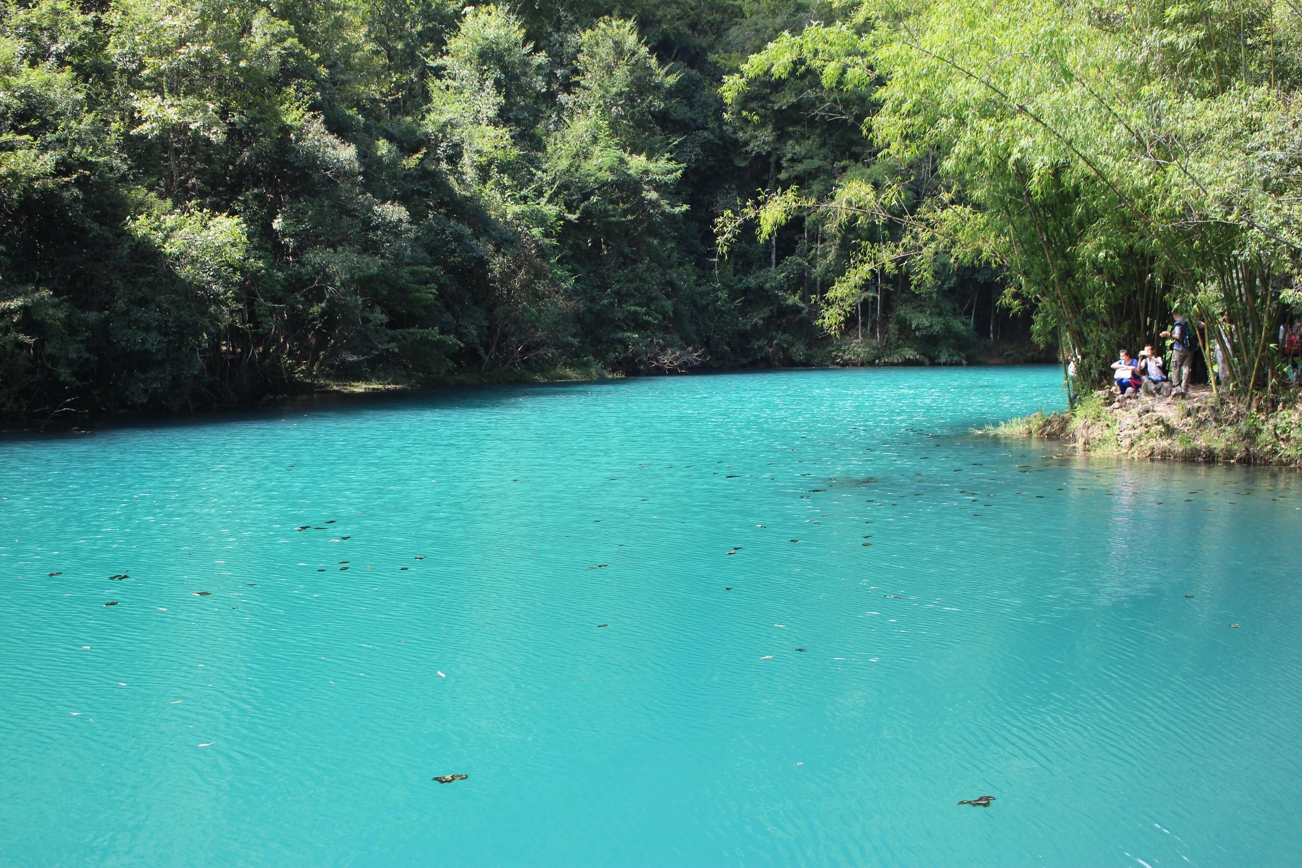 去贵州玩,有什么好的旅游攻略?-去贵州旅游怎么玩?看别人在贵州5天4晚亲自体验(图文)