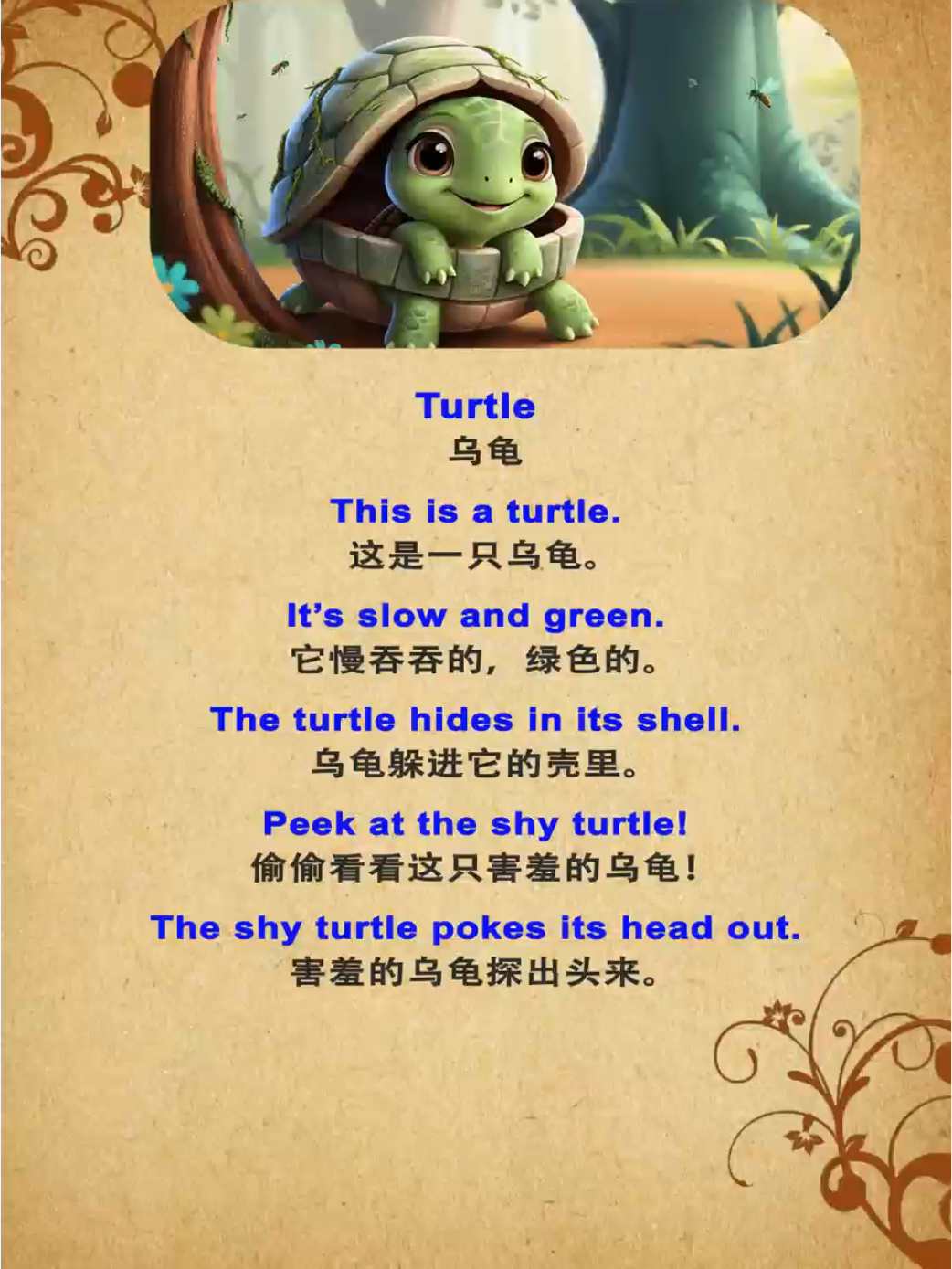每天1分钟英语学习动物篇乌龟turtle