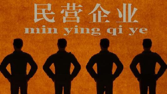 迫切刚需,民营企业如何转型“命硬企业”? - 知乎
