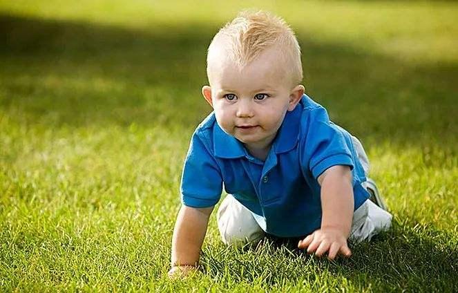 怎么教小孩爬行视频 v2-adcebb62ebf2d5e082fc5a67de02a2c4_1440w.jpg?source=172ae18b