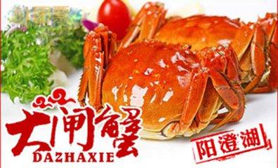 v2-adda660a25a21b385e29a6f47a7890af_1440w.jpg?source=172ae18b
