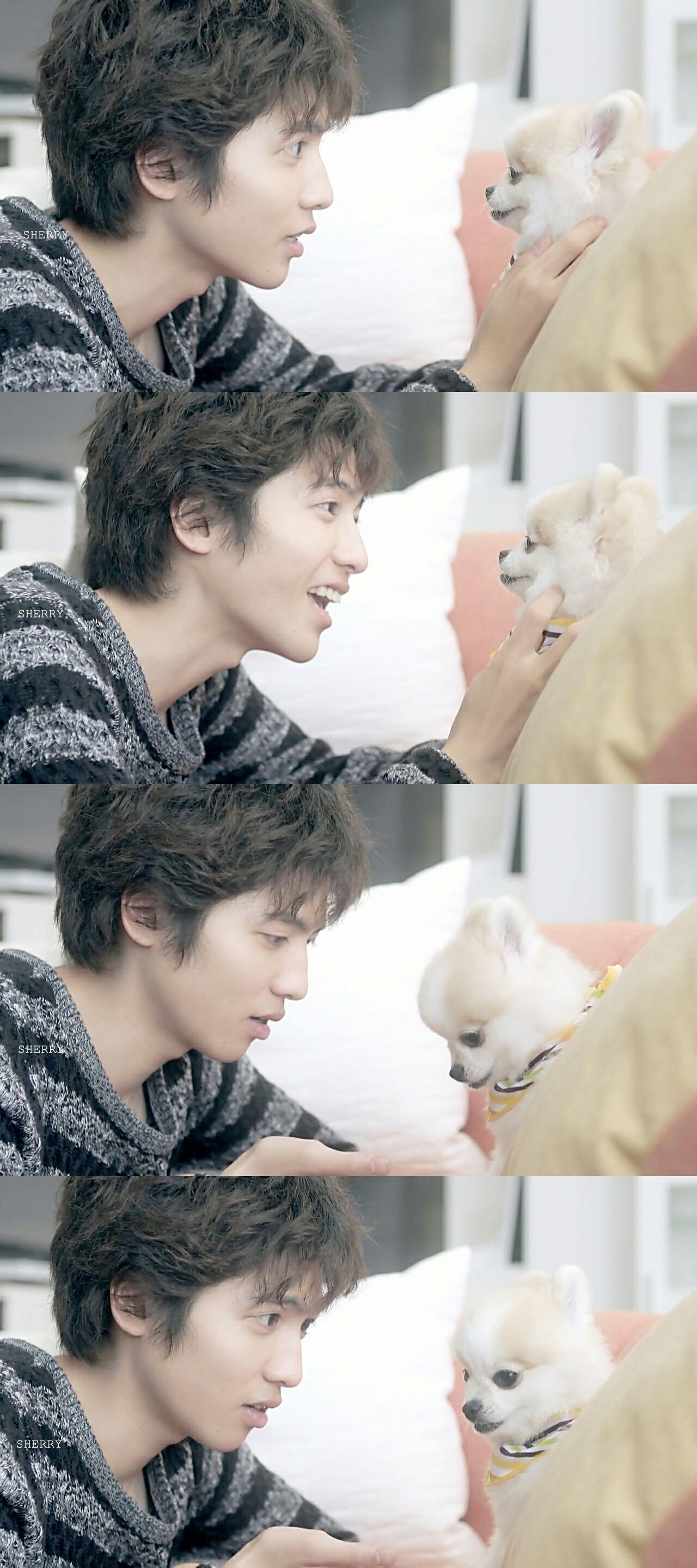 如何评价日剧《宠物情人》?