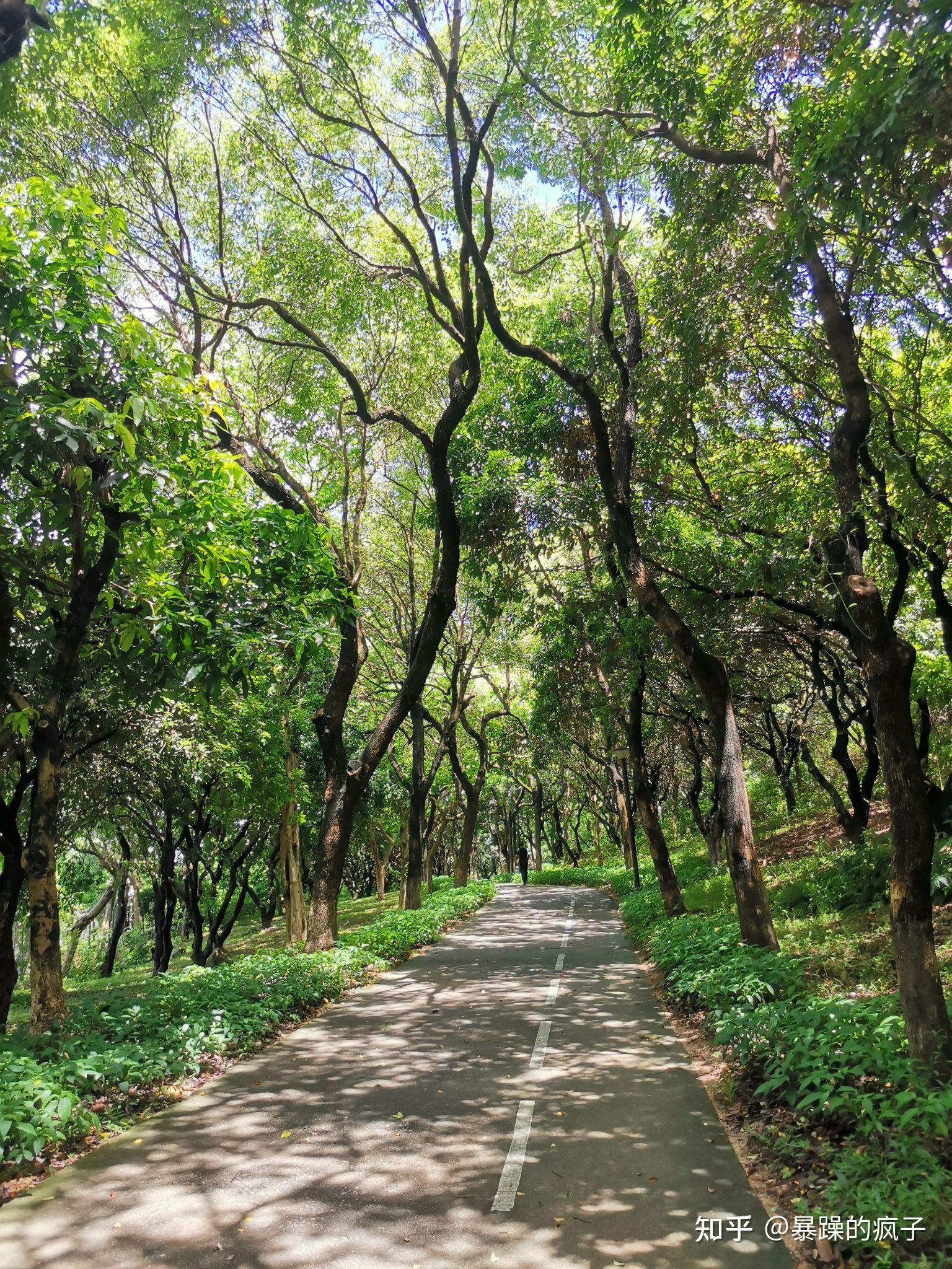 深圳周末去哪玩 — 燕晗山郊野公园 - 知乎