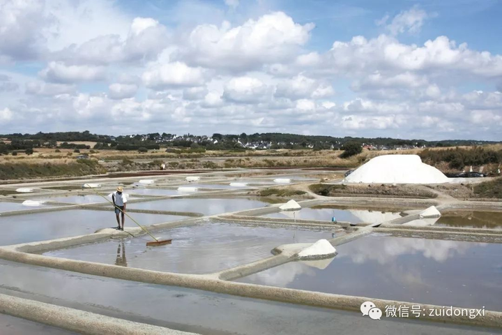 “盐中钻石”盖朗德盐之花 The Diamond of Salt ~ Fleur de Sel de Guérande(之九) - 知乎