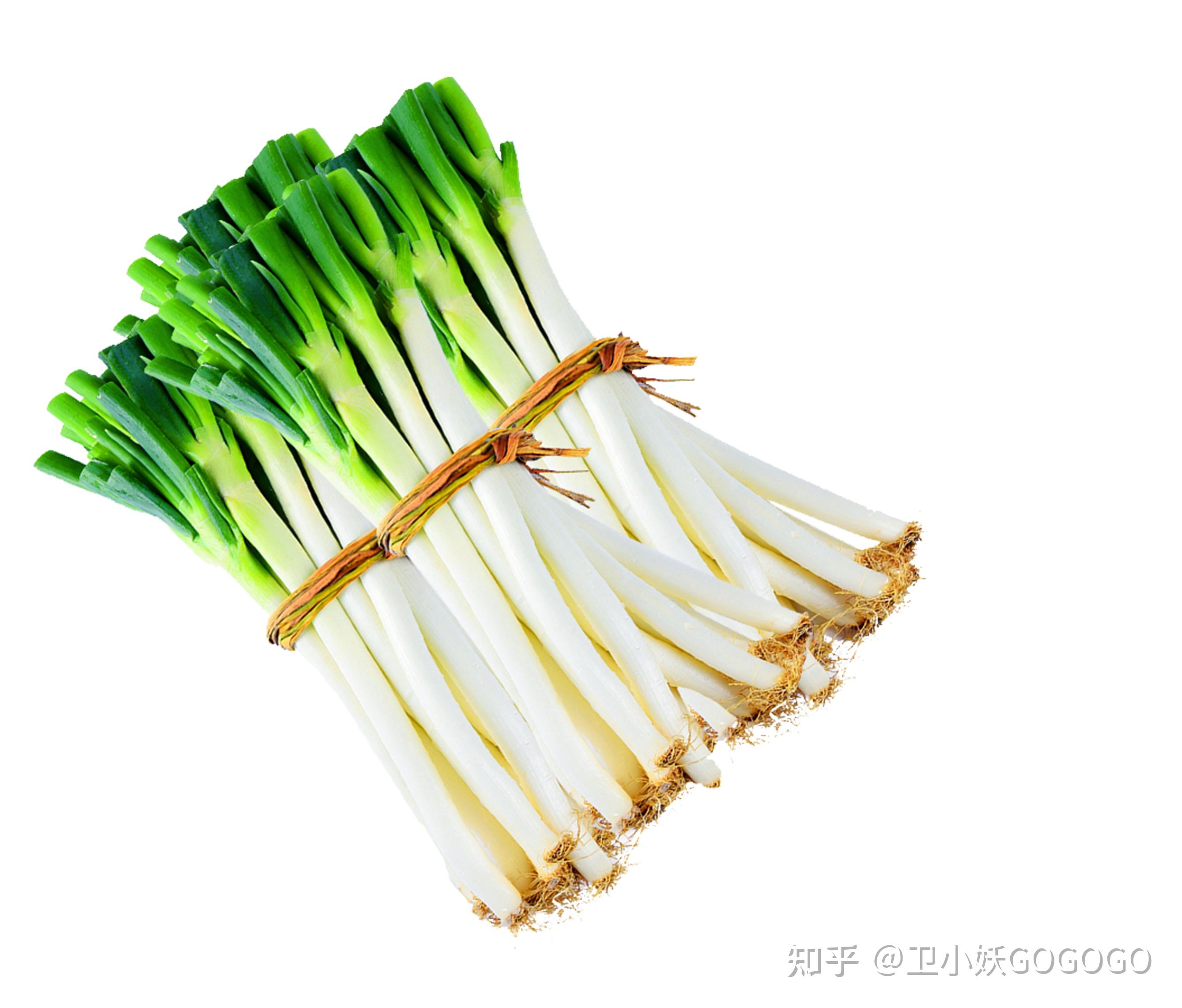 大葱,小葱,京葱,香葱,洋葱,红葱头,韭菜,大蒜,它们之间有什么联系? - 知乎