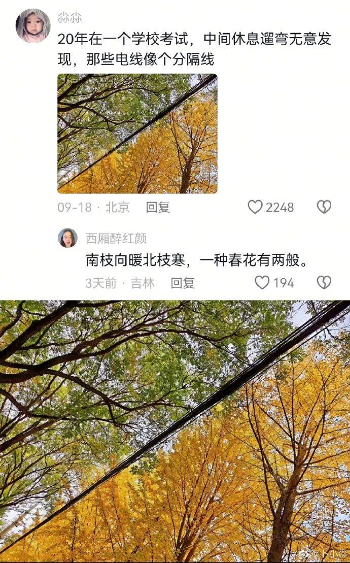 第一个发现这个机位的是天才吧 - 知乎
