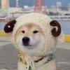 一生一世一心人