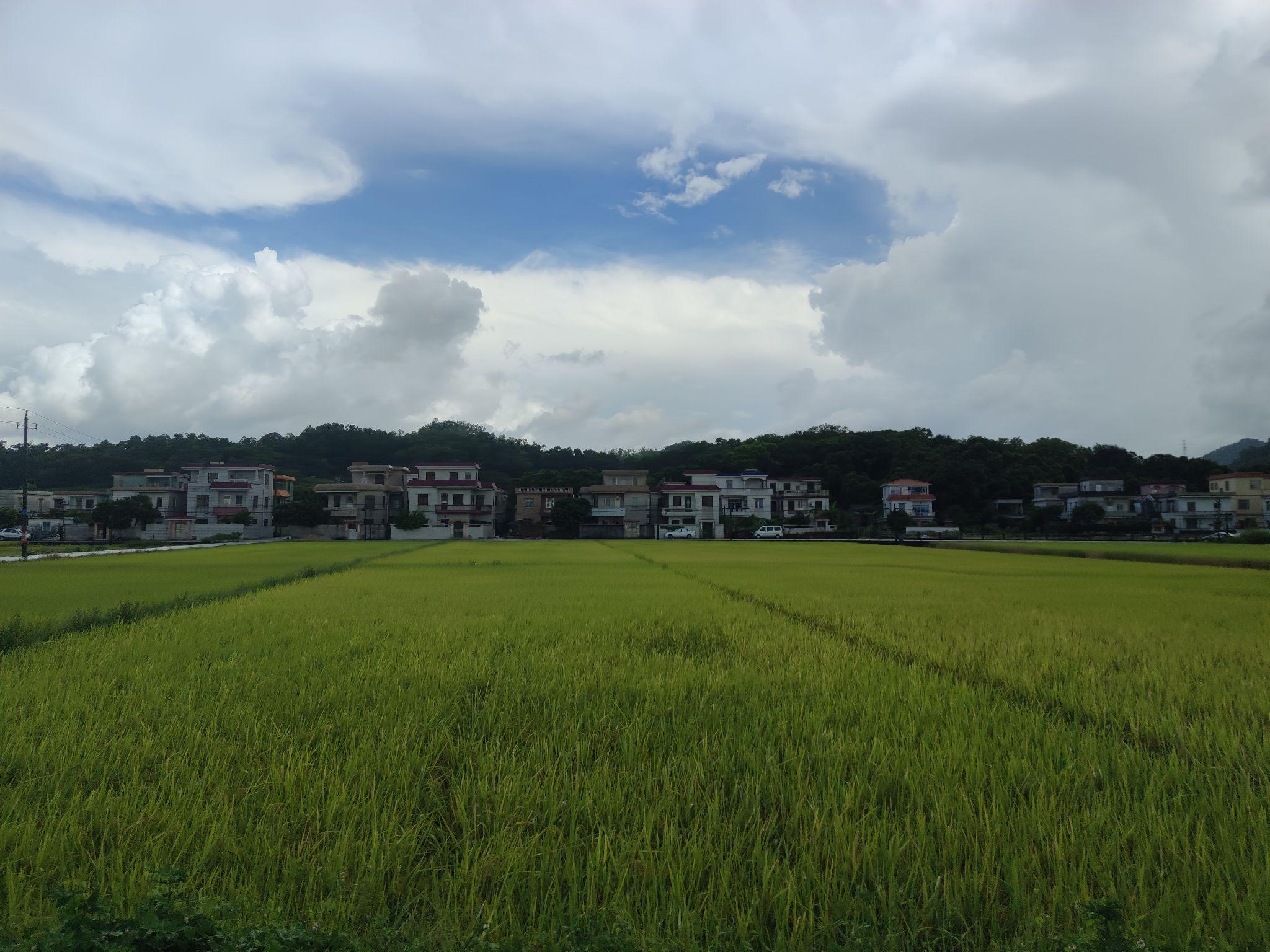 中山南朗镇怎么样