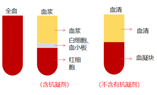 一文搞懂血清和血浆的区别?原来这么容易区分 - 知乎