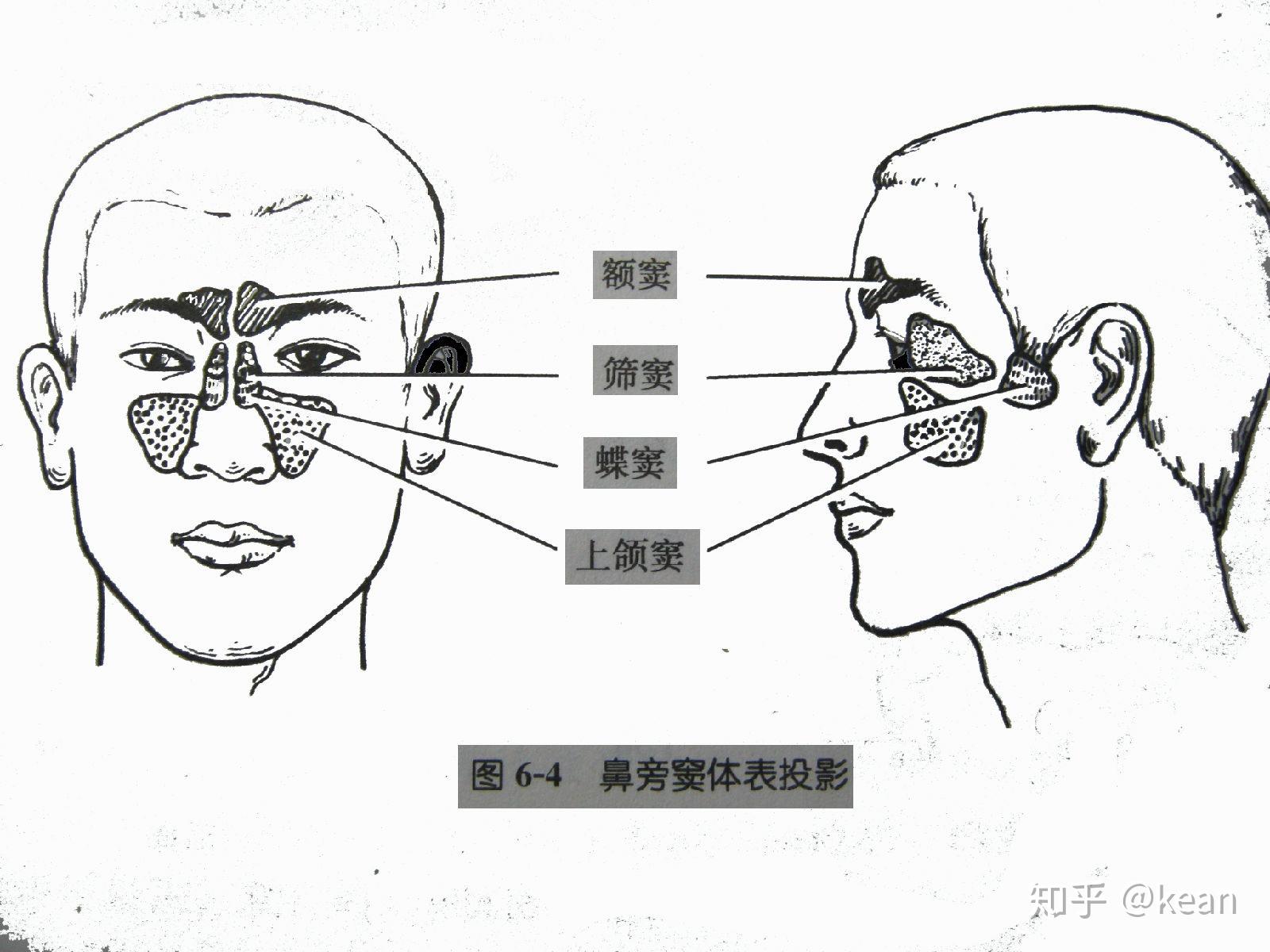 最近在学面罩唱法想问低音和高音怎么唱到同一个地方