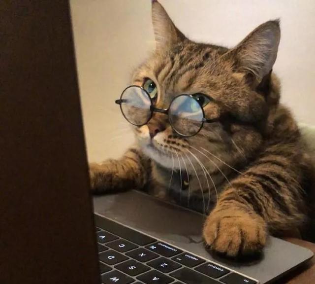 猫咪交流群、猫群、猫友群,招群友啦 - 知乎