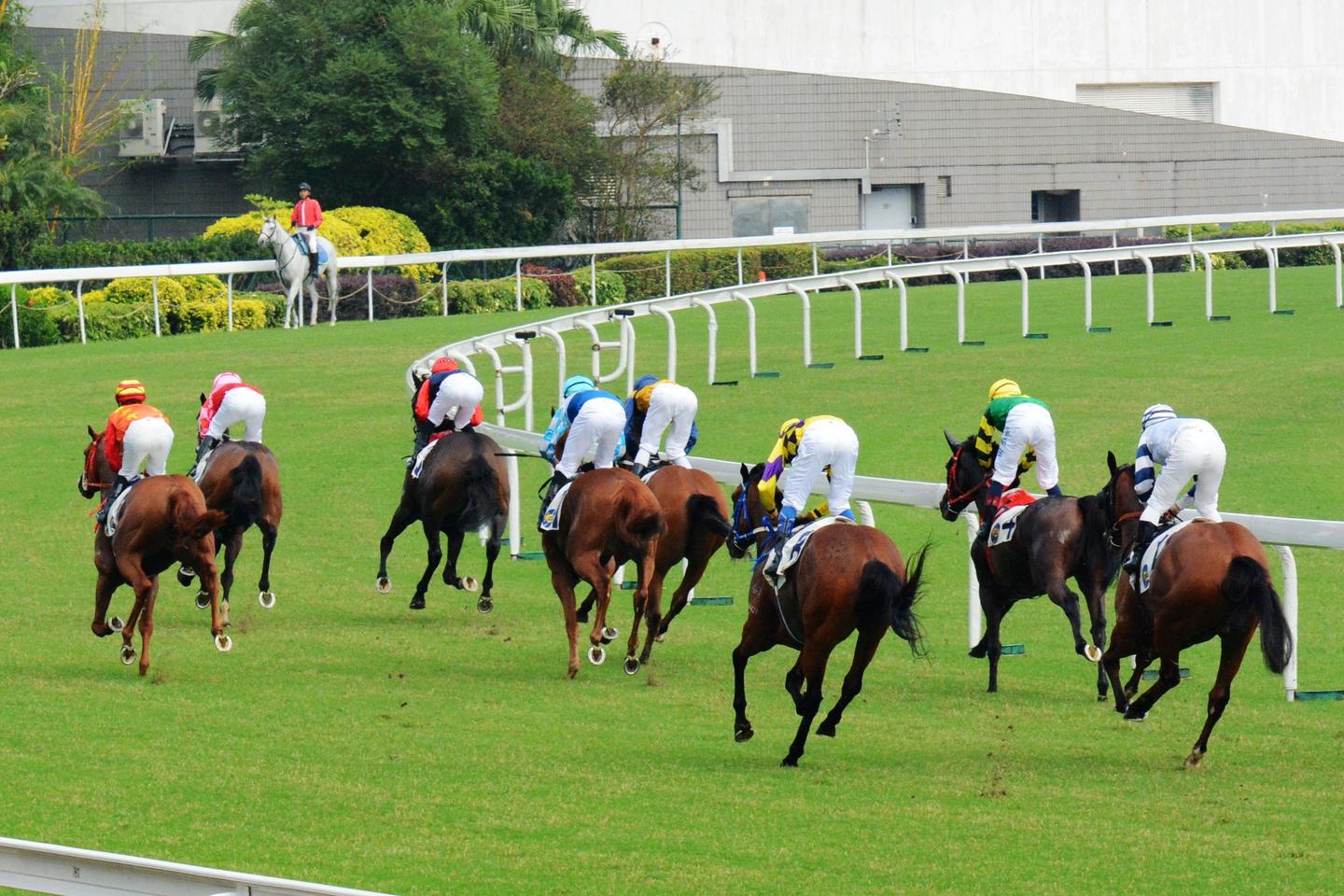 马术与速度赛马骑手的区别 知乎