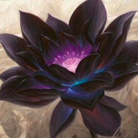 Frida的Stalker功能(1) - 知乎