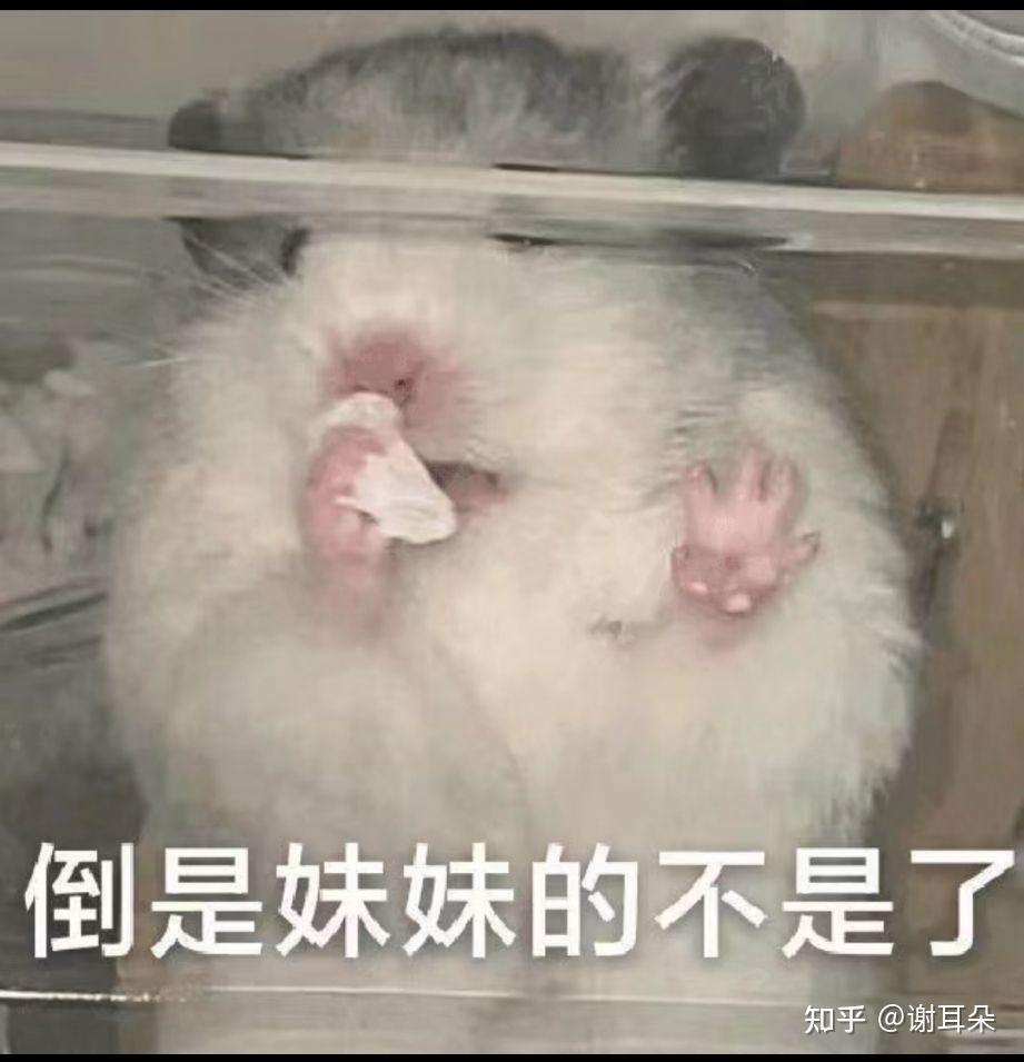 有哪些笑出猪叫的“疯批语录”？ - 知乎