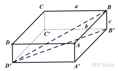 长方体展开图231型图片