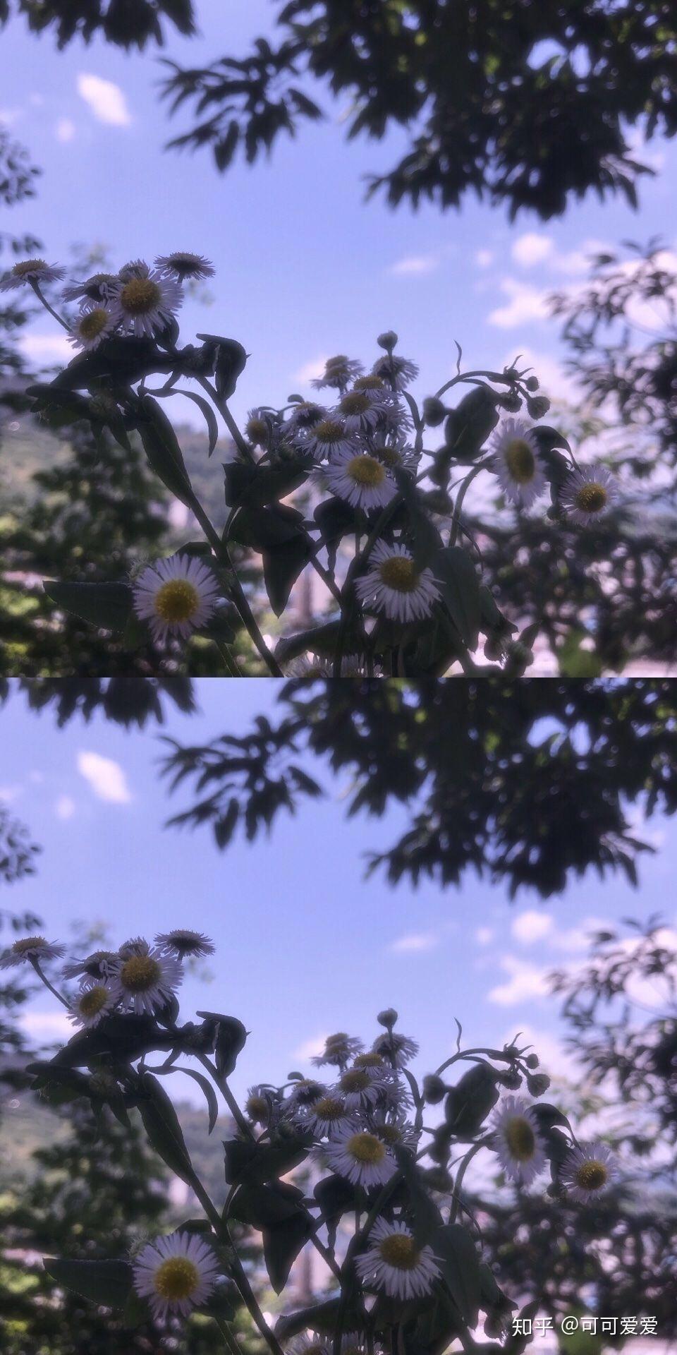 有哪些高质量的微信聊天背景图片?