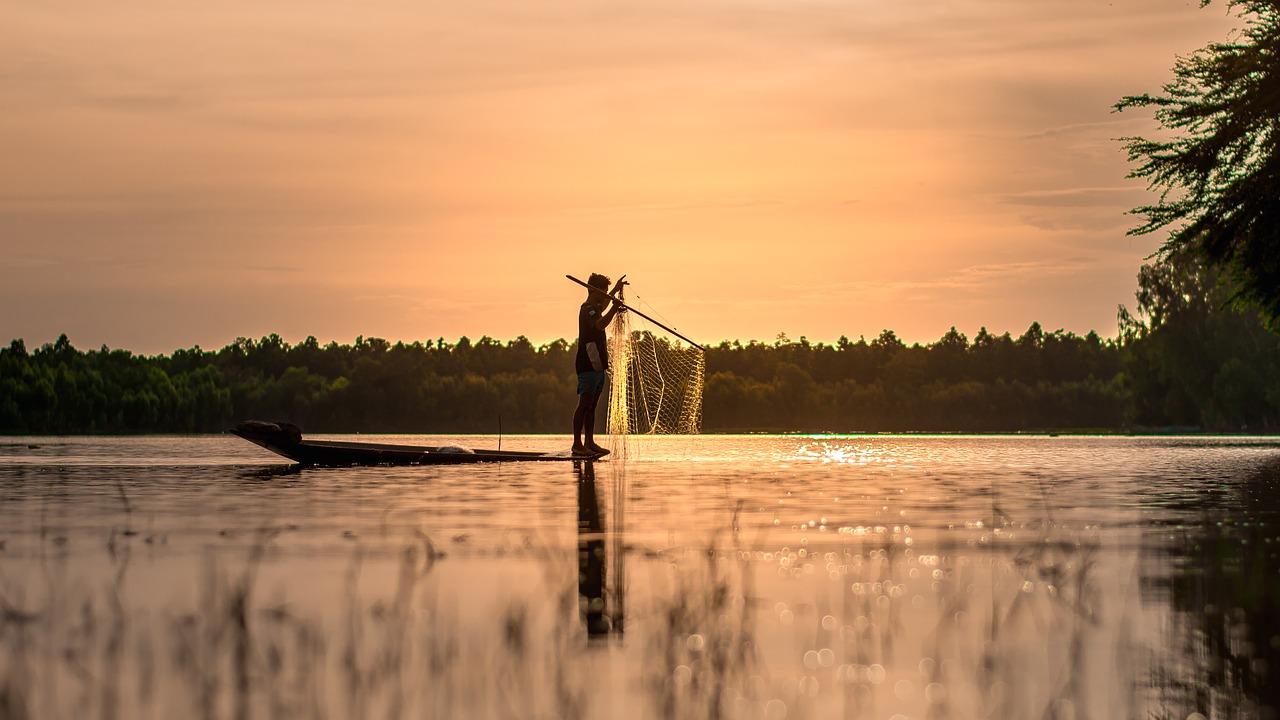 广州新造盛产什么