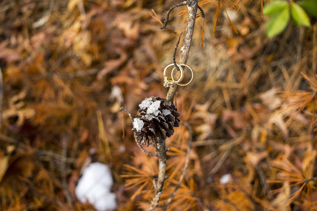 叶子的寓意是什么