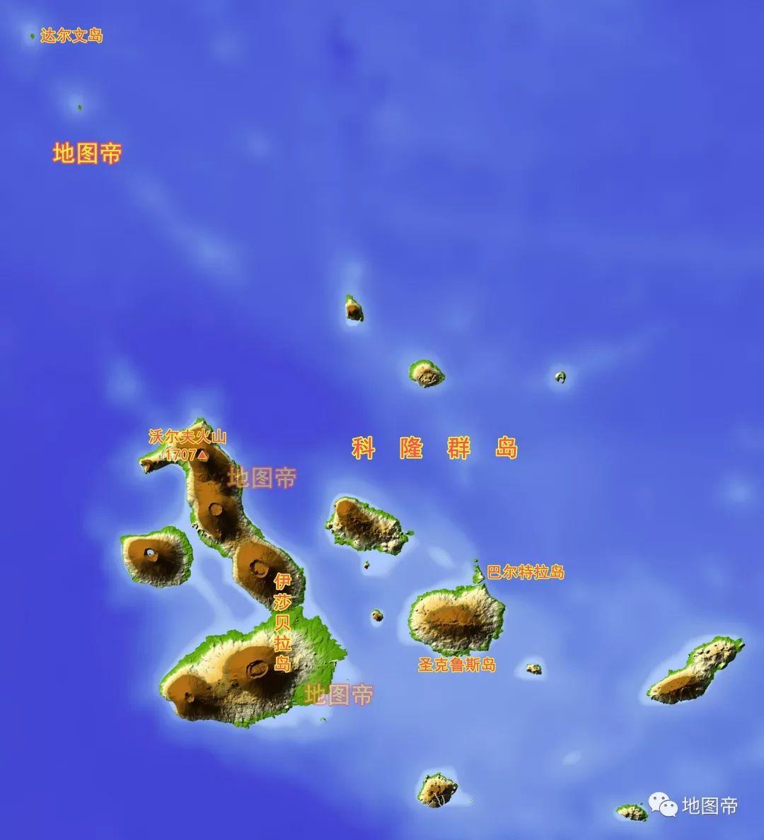 科隆群岛为何存在企鹅