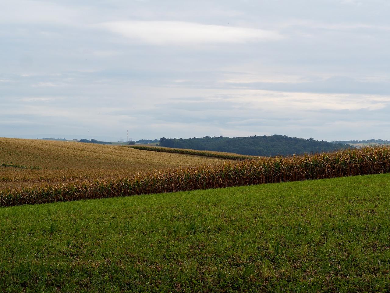 合肥一亩田卖多少