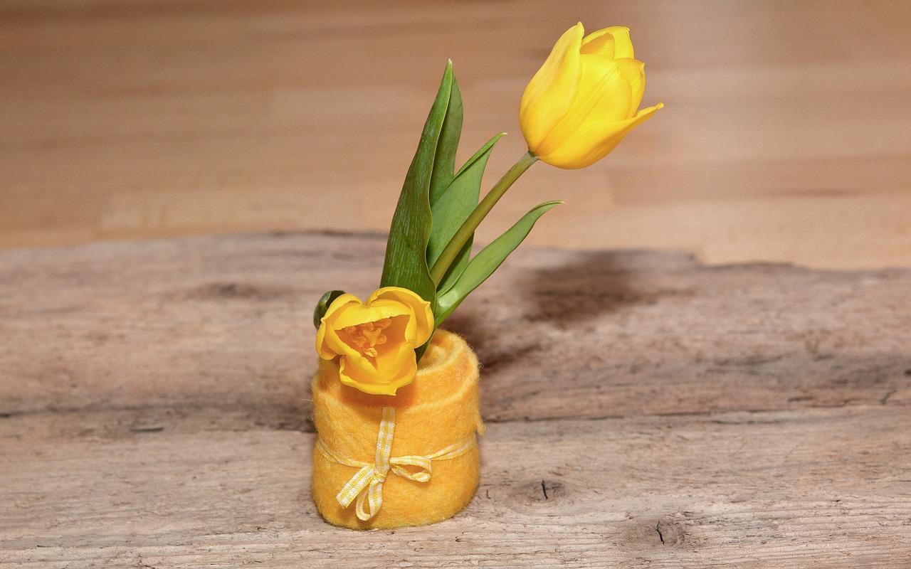 春游踏青乐无穷