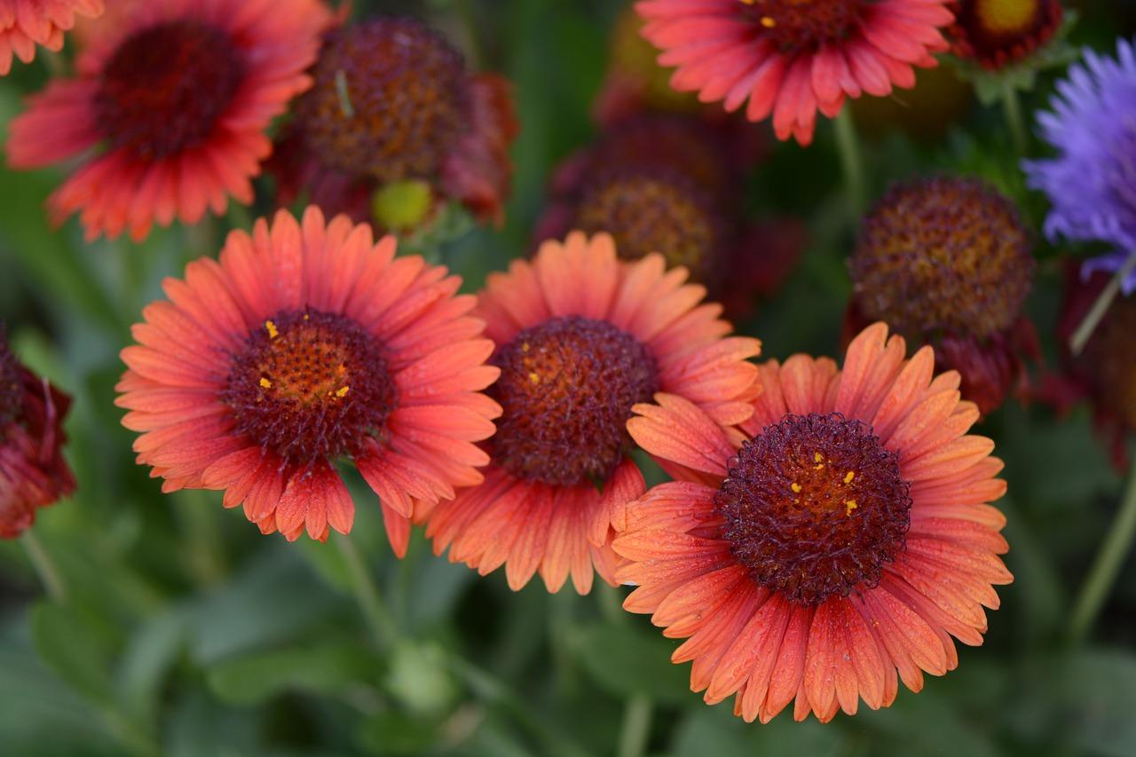 新疆弹棉被多少钱