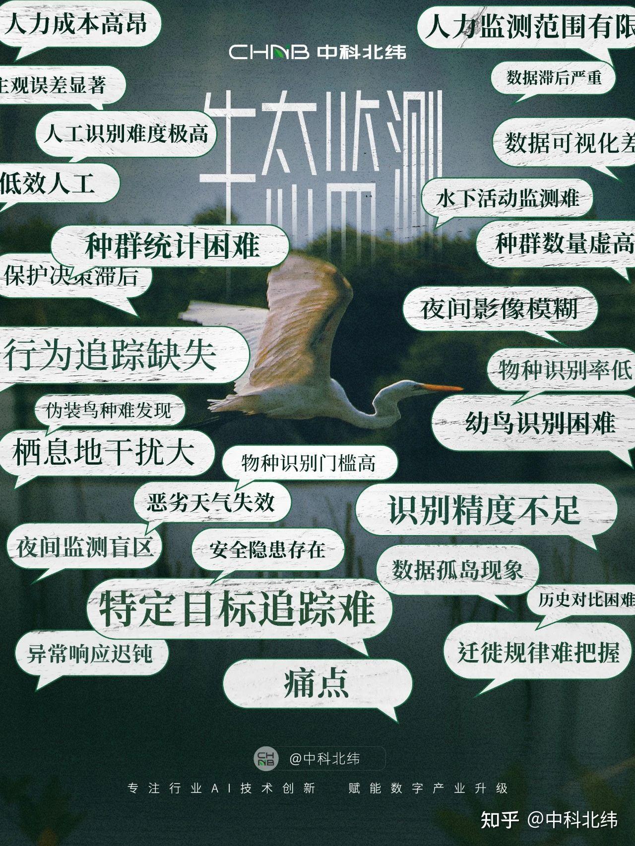 “鸟”算不如天算？天算不如我“高清偷看” - 知乎