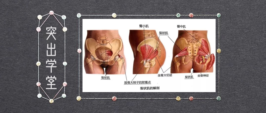 你的腿麻可能与腰椎间盘突出无关 真凶 或许是ta 知乎 你的腿麻可能与腰椎间盘突出无关 真凶 或许是ta 知乎