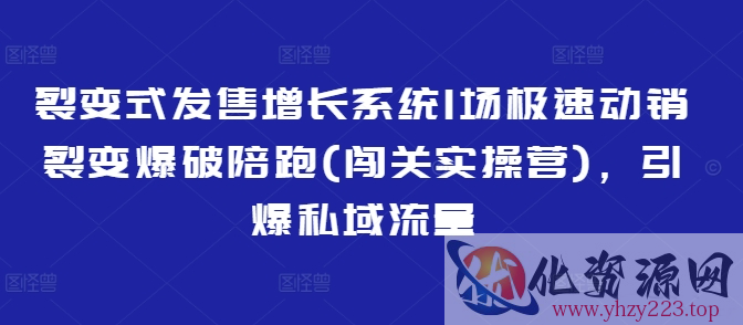 裂变式发售增长系统1场极速动销裂变爆破陪跑(闯关实操营)，引爆私域流量