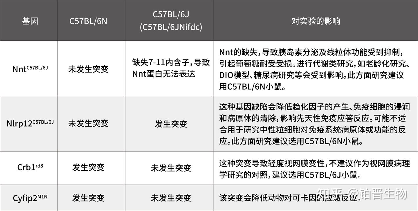 鼠库全书丨C57BL/6 - 知乎