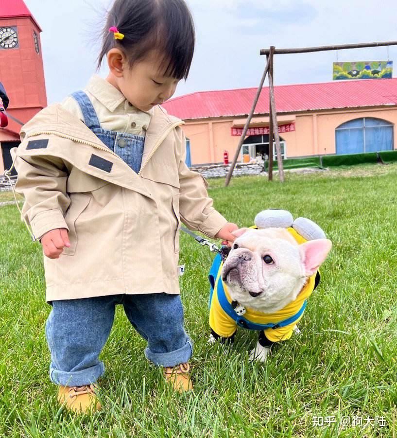 长期养狗和不养狗的人，谁更健康？结果出乎意料 - 知乎