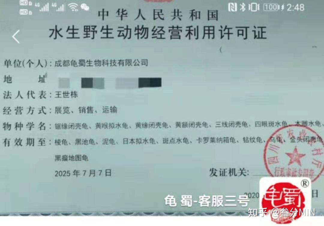 武汉一小伙网购2只乌龟因是濒危保护动物被判刑5个月
