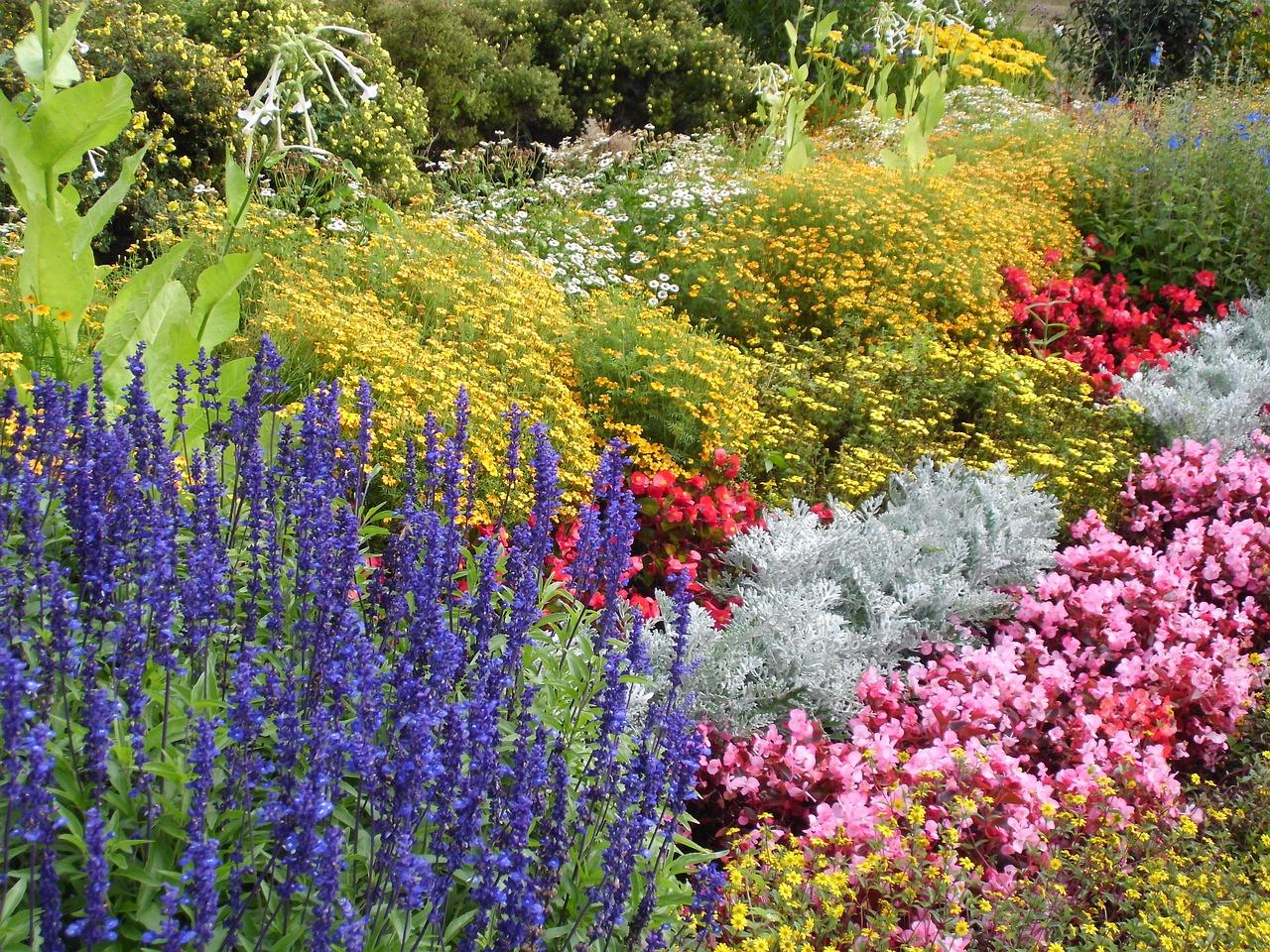 水泥地打造花池