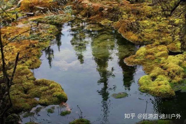 有“沟”必火！川西沟沟头深藏一大波最美秋色 - 知乎