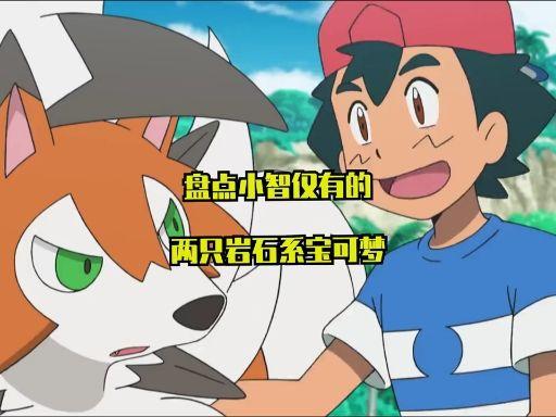 小智曾经收服过的宝可梦都到哪里去了