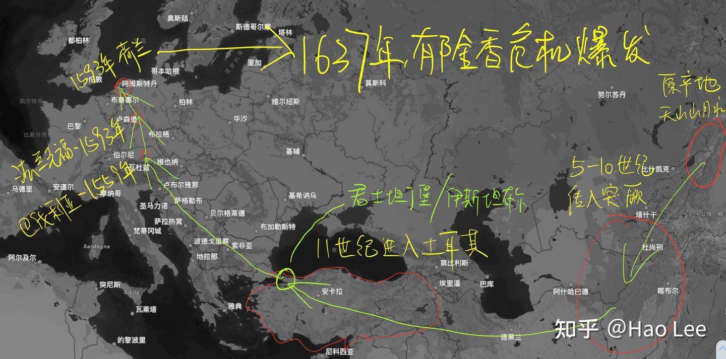 郁金香热》-「英」迈克·达什著冯璇译- 知乎