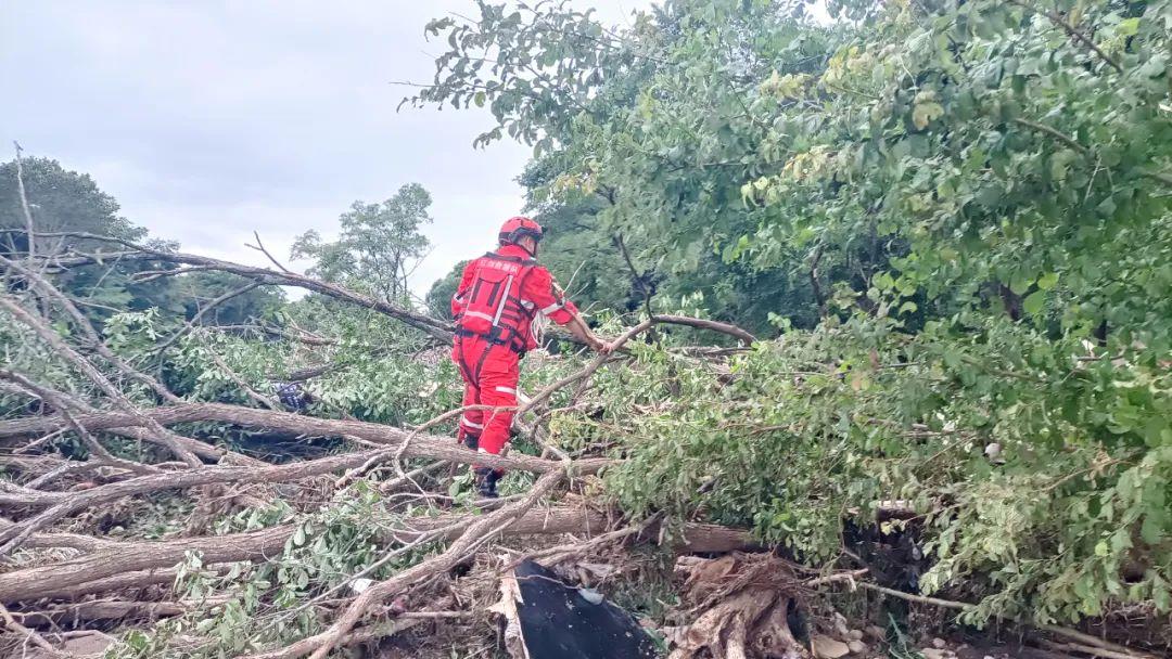 关于吉林舒兰强降雨已致14人遇难，1人失联，13.4万人受灾，目前当地情况如何？的信息