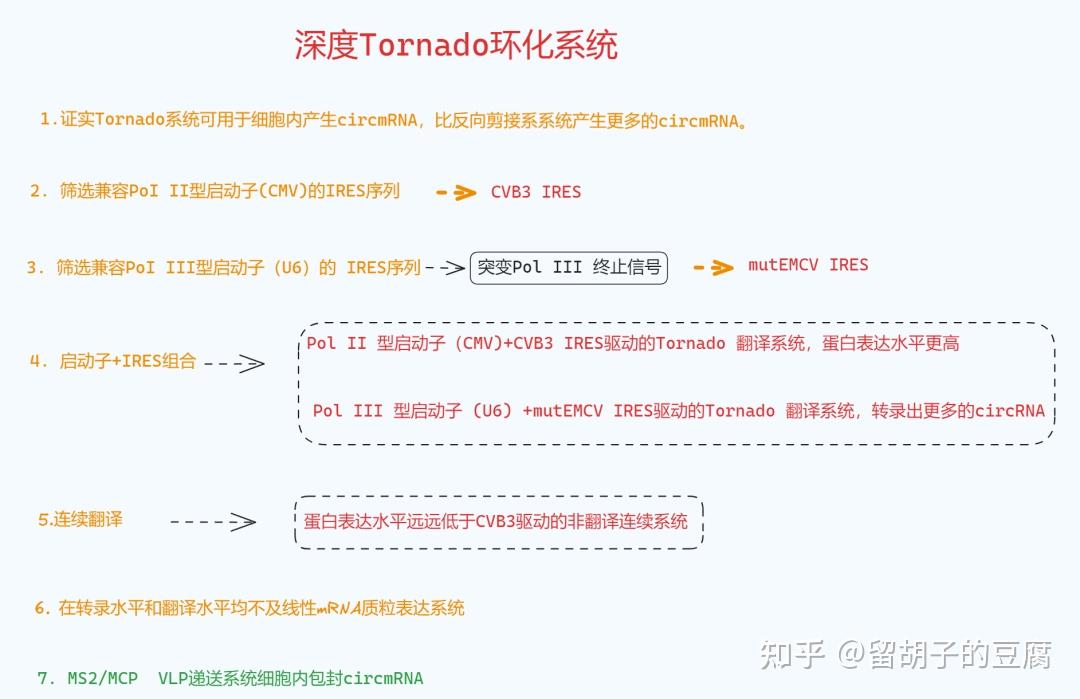 VLP递送Tornado系统表达的circRNA,实现更长久的蛋白表达 - 知乎